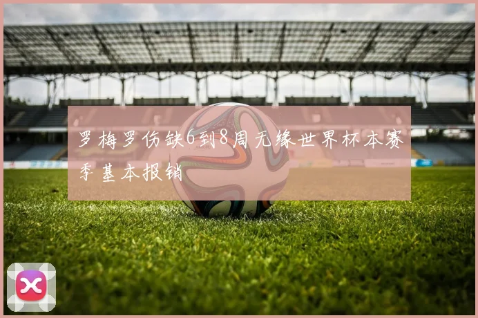 罗梅罗伤缺6到8周无缘世界杯本赛季基本报销