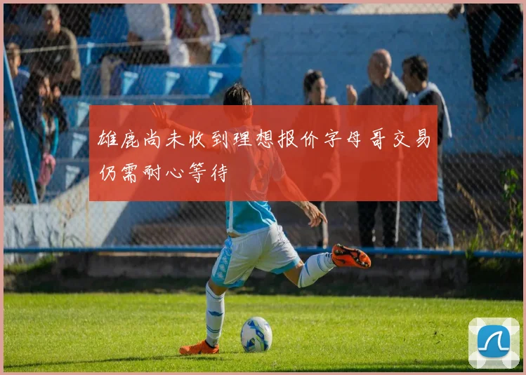 雄鹿尚未收到理想报价字母哥交易仍需耐心等待